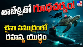 తాబేళ్లతో గూఢచర్యం! చైనా సముద్రంలో రహస్య యుద్ధం