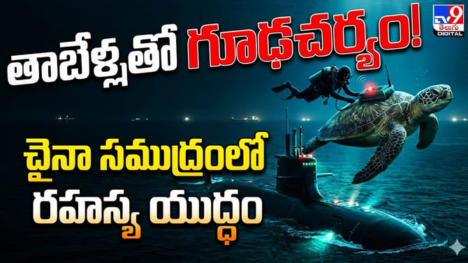 తాబేళ్లతో గూఢచర్యం! చైనా సముద్రంలో రహస్య యుద్ధం