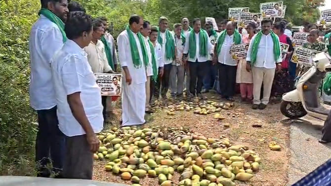 తీపి సిండికేట్‎కు.. దగా రైతులకు.. మామిడి రైతుకు మళ్లీ అదే కష్టం!