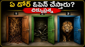 మూడు తలుపులు.. ఒకటే సురక్షితం! మీరైతే ఏ డోర్ తెరుస్తారు?