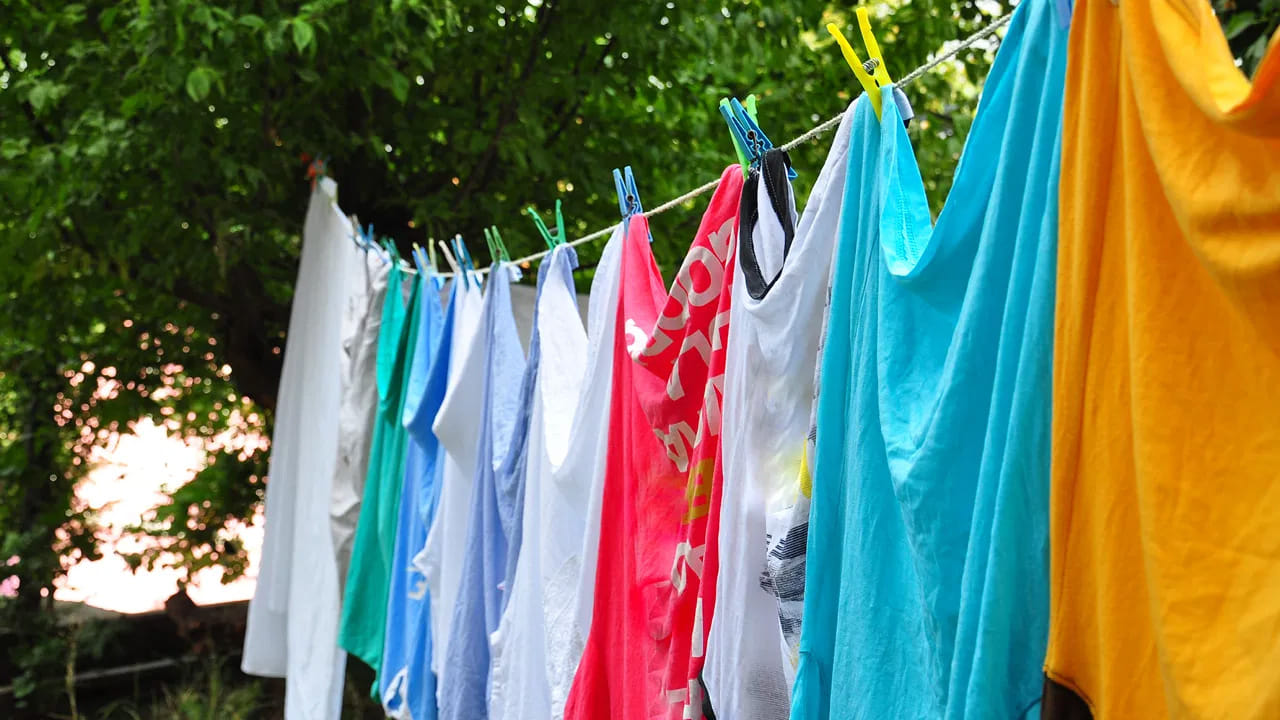 Cloths 2