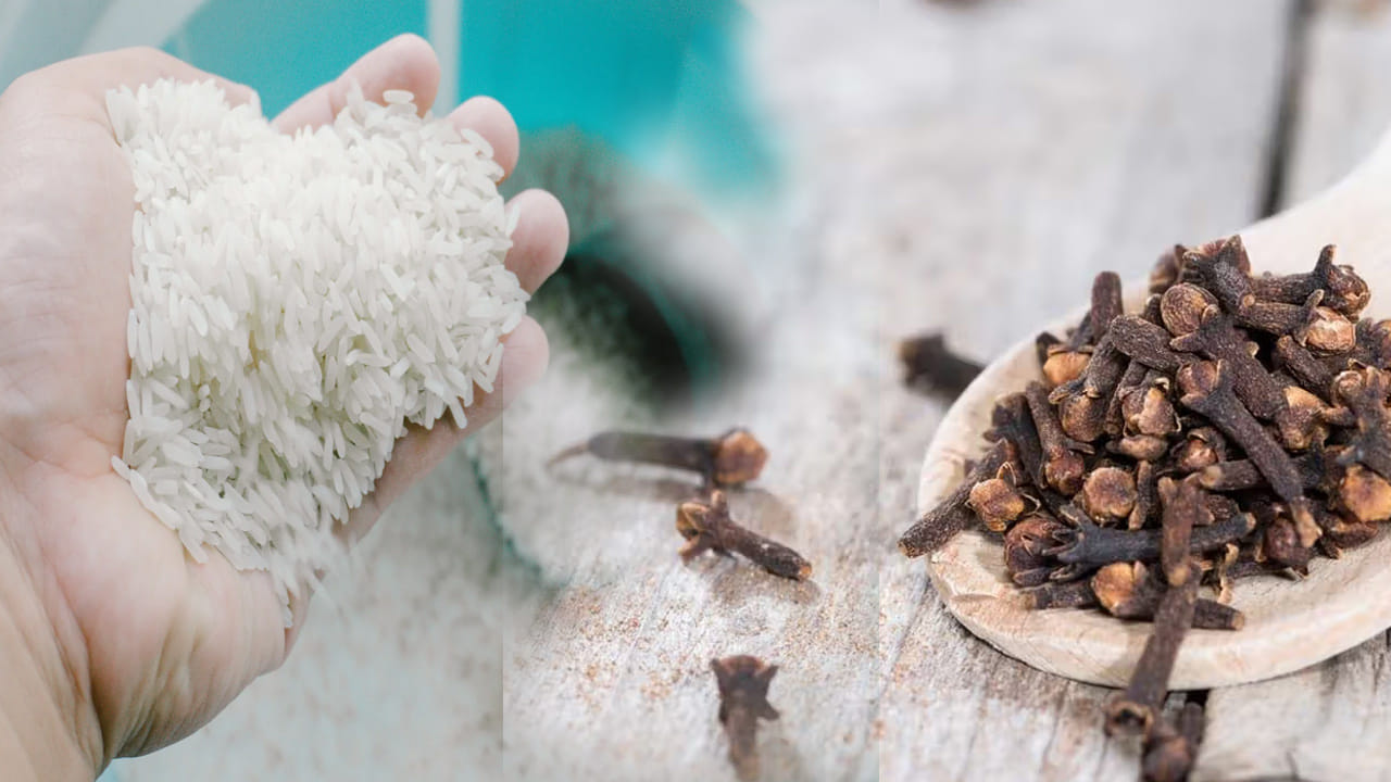 లవంగాలు (Cloves): లవంగాలలో ఉండే యాంటీ బ్యాక్టీరియల్ గుణాలు, వాటి ఘాటు వాసన పురుగులను నివారించడంలో అద్భుతంగా పనిచేస్తాయి. ఒక 10 నుండి 15 లవంగాలను బియ్యం డబ్బాలో వేసి మూత గట్టిగా పెట్టడం వల్ల పురుగుల సమస్య తీరిపోతుంది.