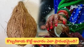 కొత్త పని ప్రారంభించే ముందు కొబ్బరికాయ ఎందుకు కొడతారు? దాని వెనుక