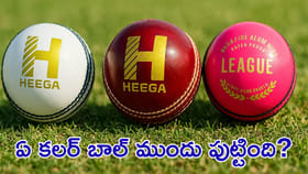 క్రికెట్ బాల్ ఎలా మారుతూ వచ్చింది? రెడ్, వైట్ ఏ బాల్ ముందు?