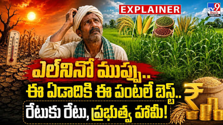 ఎల్నినో ముప్పు.. ఈ ఏడాదికి ఈ పంటలే బెస్ట్.. రేటుకు రేటు, ప్రభుత్వం హామీ ఎల్నినో ముప్పు.. ఈ ఏడాదికి ఈ పంటలే బెస్ట్.. రేటుకు రేటు, ప్రభుత్వం హామీ