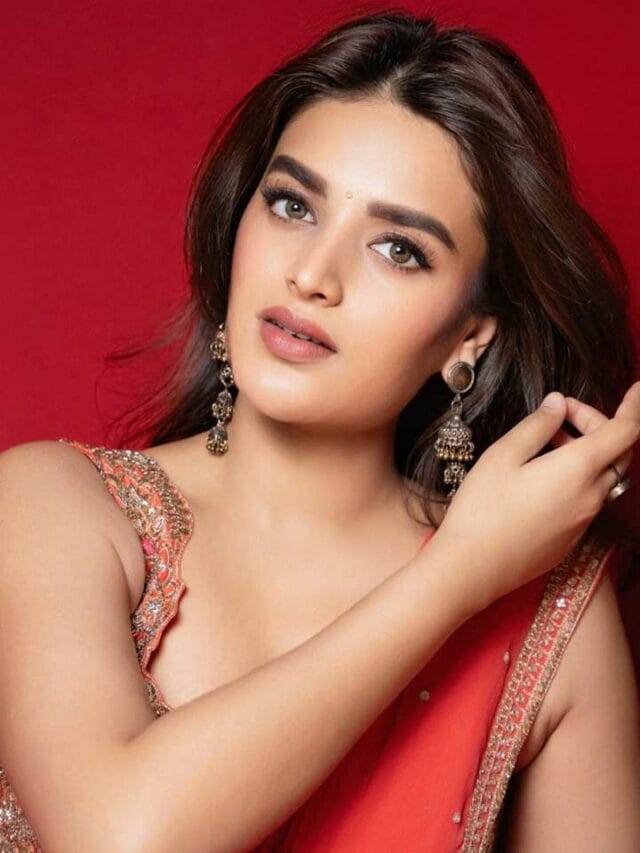 అలా సిగ్గుపడకే పిల్లా.. చీర కట్టులో మెరుస్తున్న నిధి
