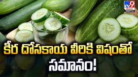 కీర దోసకాయ వీరికి విషంతో సమానం!
