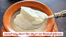 పెరుగులో ఉప్పు బెటరా? లేదా చక్కెరా? ఎలా తీసుకుంటే ప్రయోజనం