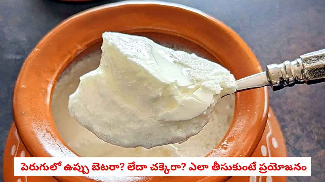 Curd Benefits: పెరుగులో ఉప్పు మంచిదా లేదా చక్కెరా.. రెండింటిలో ఏది కలిపి తింటే అమృతంలా పనిచేస్తుందో తెలుసా!