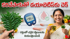 కరివేపాకుతో బ్లడ్ షుగర్ లెవల్స్ తగ్గించుకోవచ్చా?నిపుణులు చెప్పేది