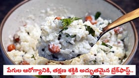 గడ్డ పెరుగుతో టేస్టీ బ్రేక్ ఫాస్ట్.. ఇన్స్టంట్ ఎనర్జీనిచ్చే పోహా