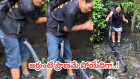 నల్ల తాచునే గజగజ వణికించారుగా.. ఒళ్ళు గగుర్పొడిచే వైరల్ వీడియో..!
