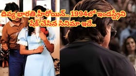దివ్య భారతి హీరోయిన్.. 1994లో ఇండస్ట్రీని షేక్ చేసిన సినిమా ఇదే..