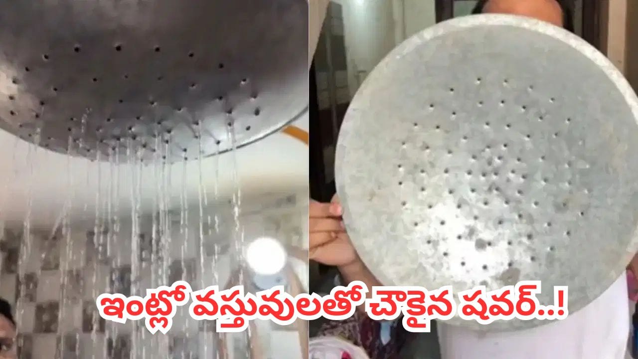 Video: ఎలా వస్తాయ్ రా బాబు.. ప్లేట్‌తో 5స్టార్ హోటల్‌ను తలదన్నే షవర్.. వీడి ఐడియా చూస్తే మైండ్ బ్లాంకే..!