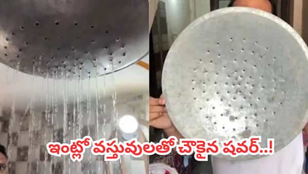 Video: ఎలా వస్తాయ్ రా బాబు.. ప్లేట్తో 5స్టార్ హోటల్ను తలదన్నే షవర్.. వీడి ఐడియా చూస్తే మైండ్ బ్లాంకే..!