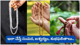 ఏ దేవుడికి ఏ మాలతో జపం చేయాలి? రుద్రాక్ష, తులసి, స్ఫటిక మాలల..