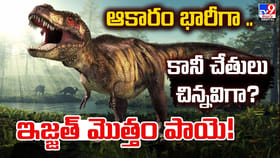 ఆకారం భారీగా.. కానీ చేతులు చిన్నవిగా? ఇజ్జత్‌ మొత్తం పాయె!