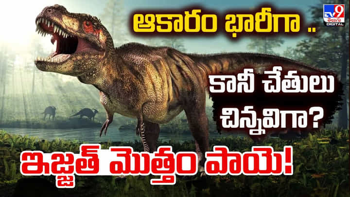ఆకారం భారీగా.. కానీ చేతులు చిన్నవిగా? ఇజ్జత్ మొత్తం పాయె! ఆకారం భారీగా.. కానీ చేతులు చిన్నవిగా? ఇజ్జత్ మొత్తం పాయె!