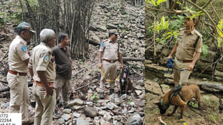 ఒక్క అంబర్ ప్యాకెట్‌తో అసలు గుట్టు బయటపెట్టింది.. హంటర్ డాగ్‌‌తో మామూలుగా ఉండదు..