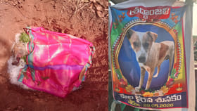పెంపుడు కుక్కకు అంత్యక్రియలు..