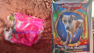 ఒకే రోజు గంటల వ్యవధిలో శవాలుగా మరిన వృద్ధ దంపతులు.. మిన్నంటిన రోధనలు