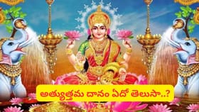 లక్ష్మీదేవికి కోపం తెప్పించే దానాలు ఇవేనా? తెలియక చేస్తే పుణ్యం..