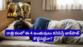 కలలో ఈ 4 జంతువులు కనిపించాయా? త్వరలో ధనవర్షం కురిసే సంకేతమట!