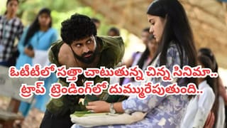 Cinema : ఇదెక్కడి క్రేజ్ మావ.. థియేటర్లలోకి వచ్చినట్లే తెలీదు.. కట్ చేస్తే.. ఏడాది తర్వాత ఓటీటీలో దుమ్మురేపుతుంది..