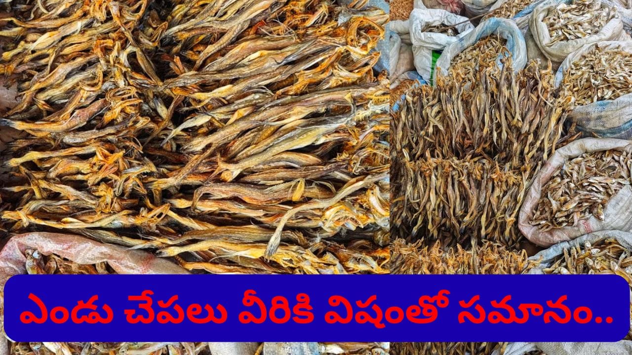 ఎండు చేపలు ఇష్టంగా తింటున్నారా..? ఈ రహస్యాలను తప్పనిసరిగా తెలుసుకోండి..
