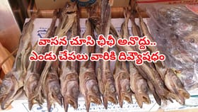 ఎండు చేపలతో ఈ వ్యాధులకు బై బై చెప్పొచ్చు.. అలాంటి వారు మాత్రం..