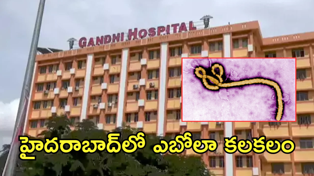 హైదరాబాద్‌లో ఎబోలా కలకలం..  రెండు అనుమానిత కేసులు! అప్రమత్తమైన వైద్య ఆరోగ్య శాఖ