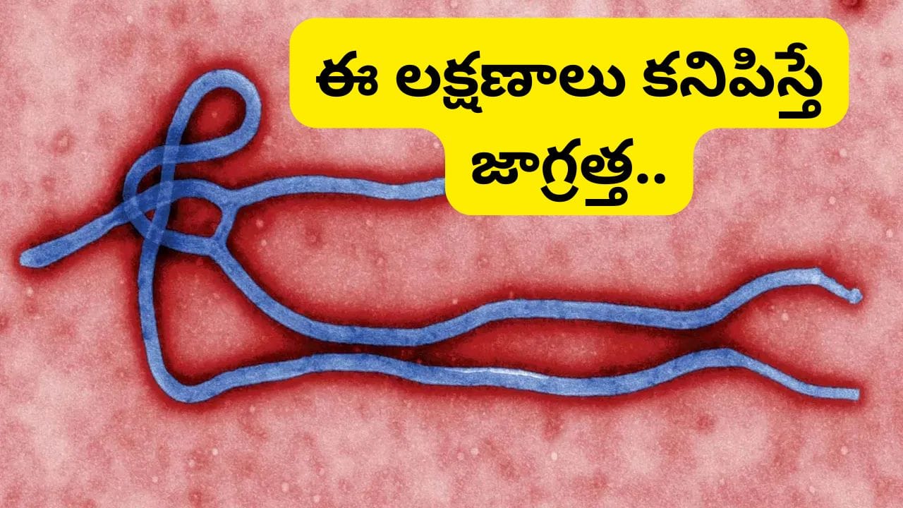 ఎబోలా వైరస్ విజృంభణ.. అలాంటి వారు ఐసోలేట్ అవ్వాలి: కేంద్ర ప్రభుత్వం కీలక ప్రకటన..
