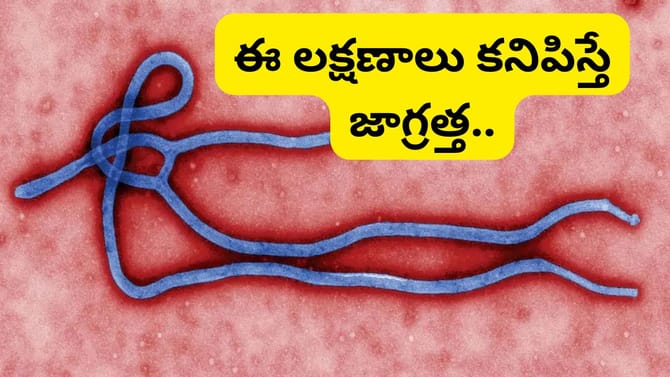 అలాంటి వారు ఐసోలేట్ అవ్వాలి.. కేంద్రం కీలక సూచనలు..