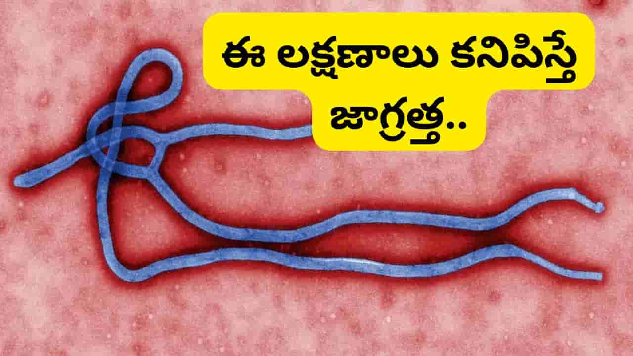 ఎబోలా వైరస్ విజృంభణ.. అలాంటి వారు ఐసోలేట్ అవ్వాలి: కేంద్ర ప్రభుత్వం కీలక ప్రకటన..