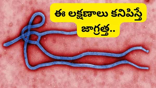 ఎబోలా వైరస్ విజృంభణ.. అలాంటి వారు ఐసోలేట్ అవ్వాలి: కేంద్ర ప్రభుత్వం కీలక ప్రకటన..