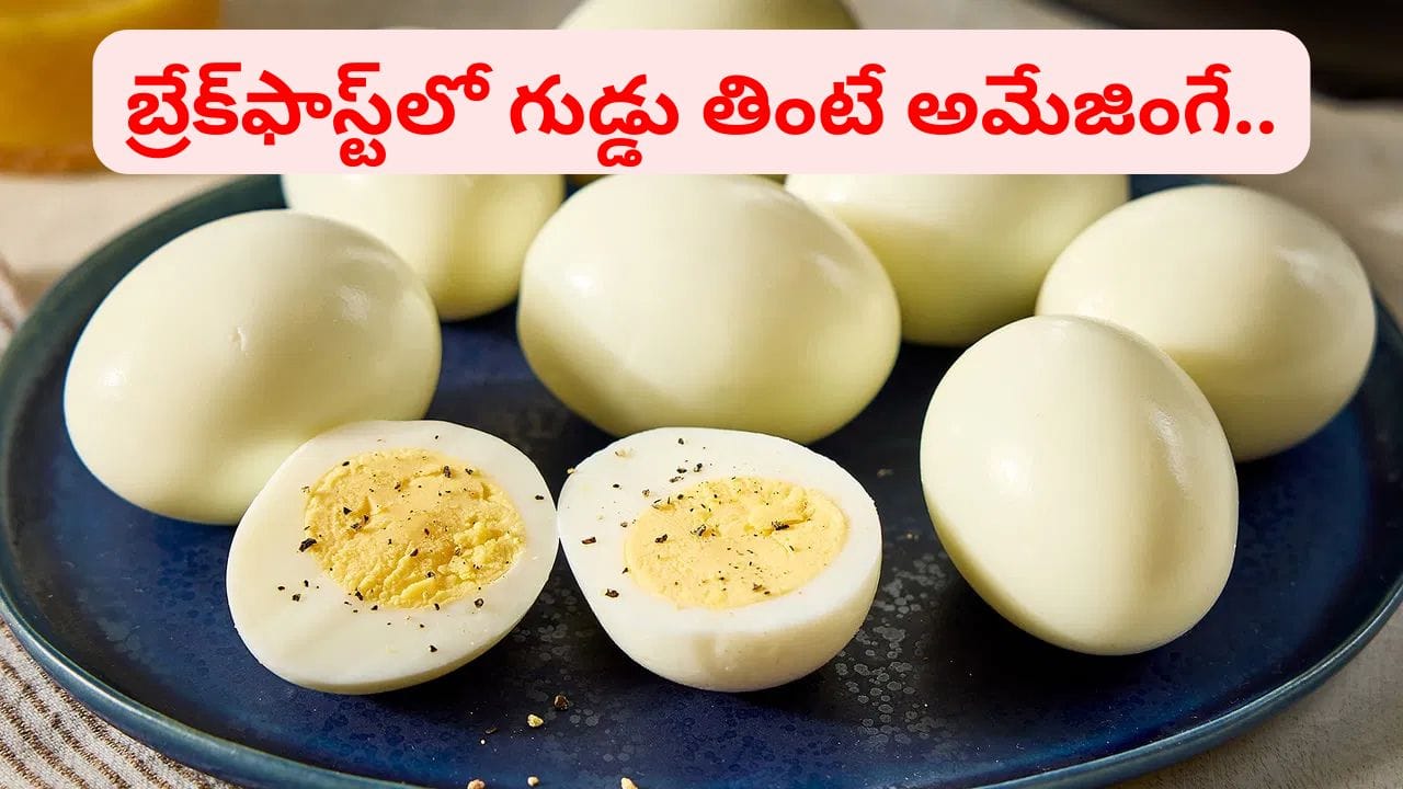 శరీరానికి వెరీగుడ్డు.. ఉదయం బ్రేక్ ఫాస్ట్ లో గుడ్డు తింటే ఏమవుతుందో తెలుసా..? జింగ్ జింగ్ అమేజింగే