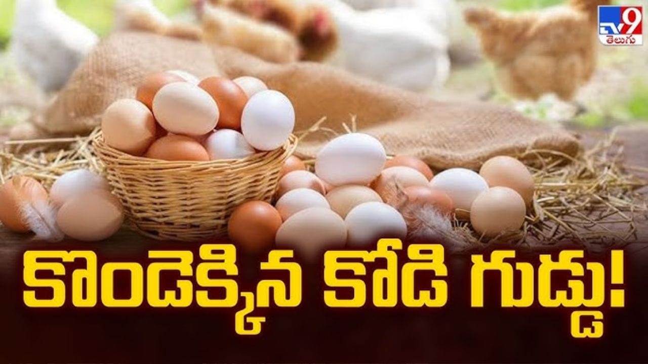 తెలంగాణలో చుక్కలు చూపిస్తున్న కోడిగుడ్డు ధరలు.. రూ. 8 మార్కు దాటి రూ. 10 దిశగా పరుగు! కారణాలివే