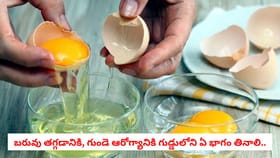బరువు తగ్గడానికి, గుండె ఆరోగ్యానికి గుడ్డులోని ఏ భాగం తినాలి..