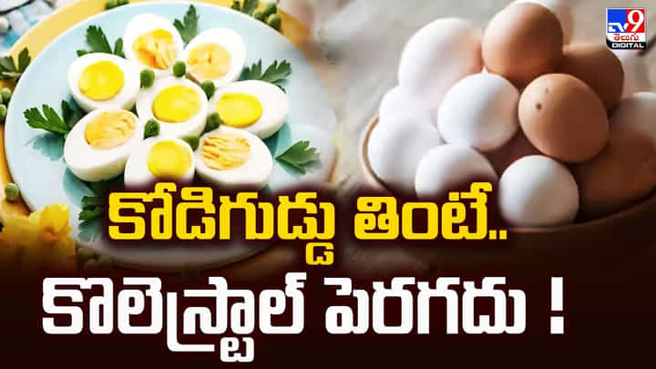 కోడిగుడ్డు తింటే.. కొలెస్ట్రాల్ పెరగదు ! కోడిగుడ్డు తింటే.. కొలెస్ట్రాల్ పెరగదు !