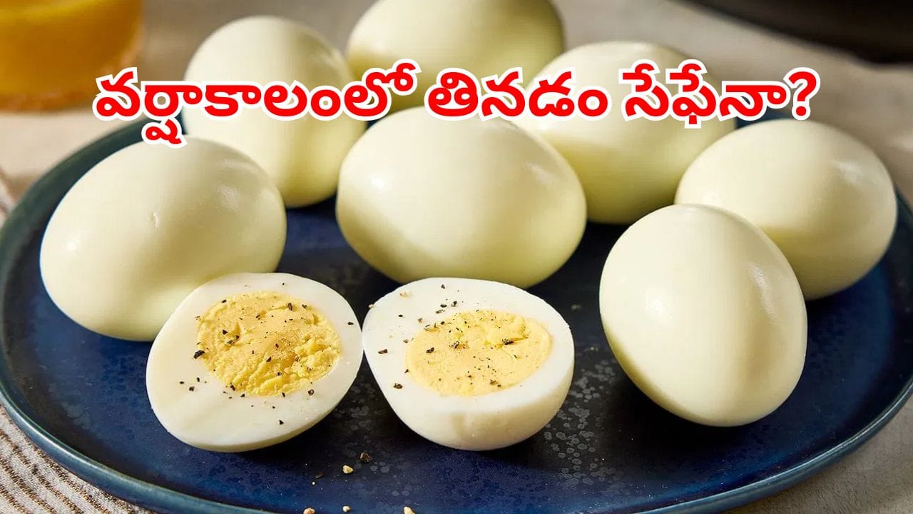 Eggs: వర్షాకాలంలో గుడ్లు తినడం ఆరోగ్యానికి మంచిదేనా? వైద్యులు చెప్పేందేంటి