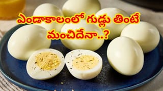 Hair fall: ఖరీదైన ఆయిల్స్‌ వద్దు.. కిచెన్‌లో దొరికే ఈ ఒక్క దానితో ఈజీగా హెయిర్‌ ఫాల్‌ తగ్గించొచ్చు!