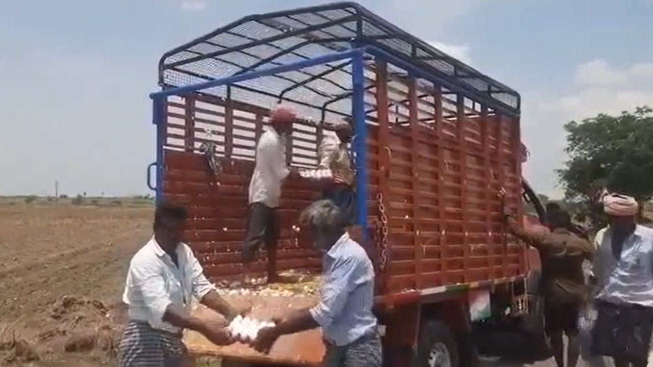 గాల్లో గింగిరాలు తిరుగుతూ కోడిగుడ్ల లారీ బోల్తా.. ఆ తర్వాత కదా అసలు సీన్..!