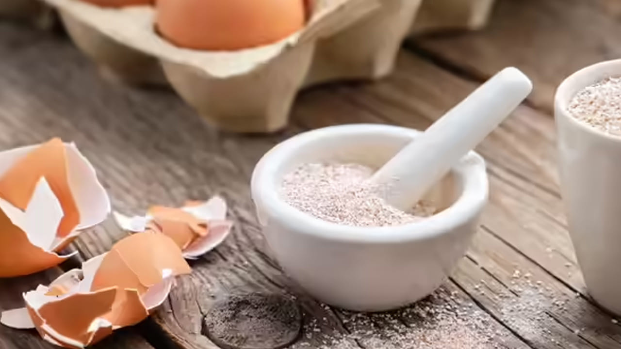చర్మ సౌందర్యానికి (Skincare Hack): గుడ్డు పెంకులను ఎండబెట్టి, మెత్తని పొడిలా చేసుకోవాలి. ఈ పొడిలో ఒక స్పూన్ అలోవెరా జెల్ లేదా కొబ్బరి నూనె కలిపి ముఖానికి ప్యాక్లా వేసుకుంటే, అది చర్మంపై ఉన్న మృతకణాలను (Dead cells) తొలగిస్తుంది. ఇది చర్మాన్ని మృదువుగా, కాంతివంతంగా మార్చడానికి సహాయపడుతుంది. అయితే, ముఖానికి వాడే ముందు ప్యాచ్ టెస్ట్ చేసుకోవడం మంచిది.