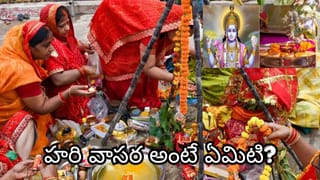 నిర్జల ఏకాదశి ఉపవాసం ఎప్పుడు విరమించాలి? హరి వాసర టైమ్, పారణ నియమాలు తెలుసుకోండి!