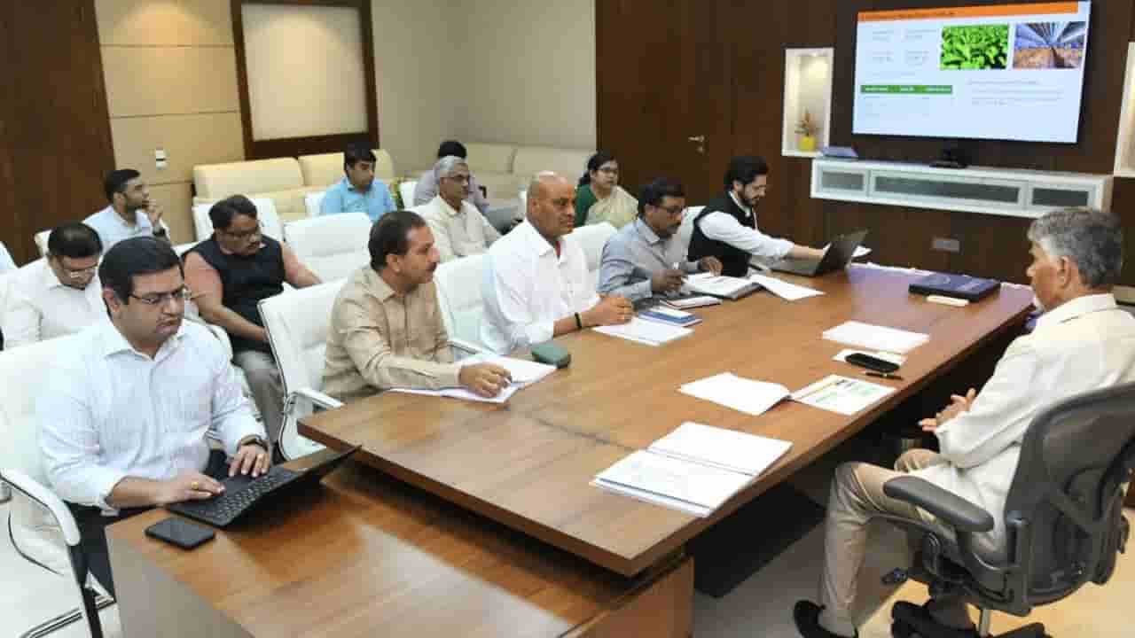 CM Chandrababu : ఎల్నినో ఎఫెక్ట్.. పంటల సాగుపై అధికారులకు సీఎం కీలక ఆదేశాలు..