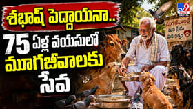 మూగజీవాల దాహమే తన ధ్యేయం.. 75 ఏళ్ల వృద్ధుడి సేవకు అడవే సాక్ష్యం