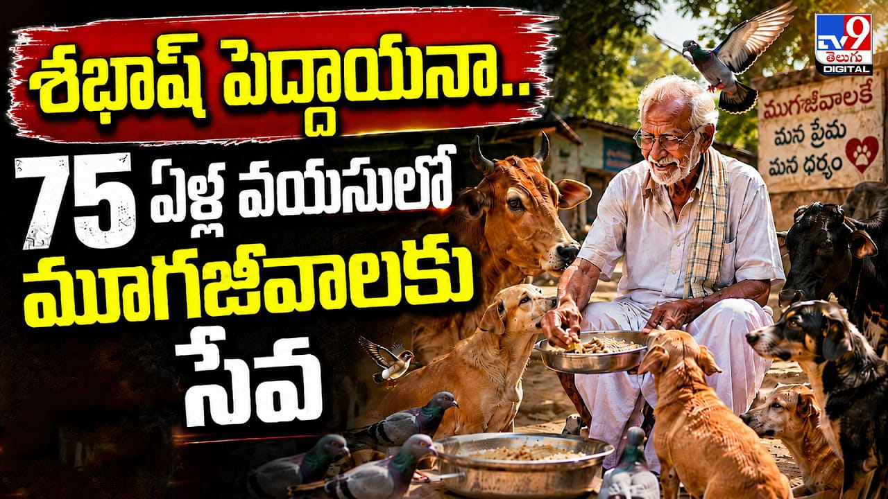 మూగజీవాల దాహమే తన ధ్యేయం.. 75 ఏళ్ల వృద్ధుడి సేవకు అడవే సాక్ష్యం మూగజీవాల దాహమే తన ధ్యేయం.. 75 ఏళ్ల వృద్ధుడి సేవకు అడవే సాక్ష్యం