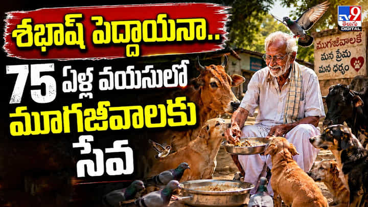 మూగజీవాల దాహమే తన ధ్యేయం.. 75 ఏళ్ల వృద్ధుడి సేవకు అడవే సాక్ష్యం మూగజీవాల దాహమే తన ధ్యేయం.. 75 ఏళ్ల వృద్ధుడి సేవకు అడవే సాక్ష్యం