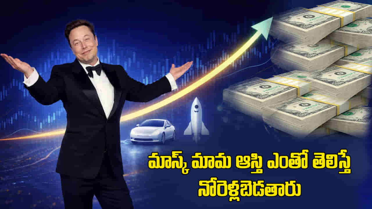 Elon Musk: ఎలాన్ మస్క్ సంపదను మనందరికీ పంచితే ఒక్కొక్కరికి ఎంత వస్తుందో తెలుసా?