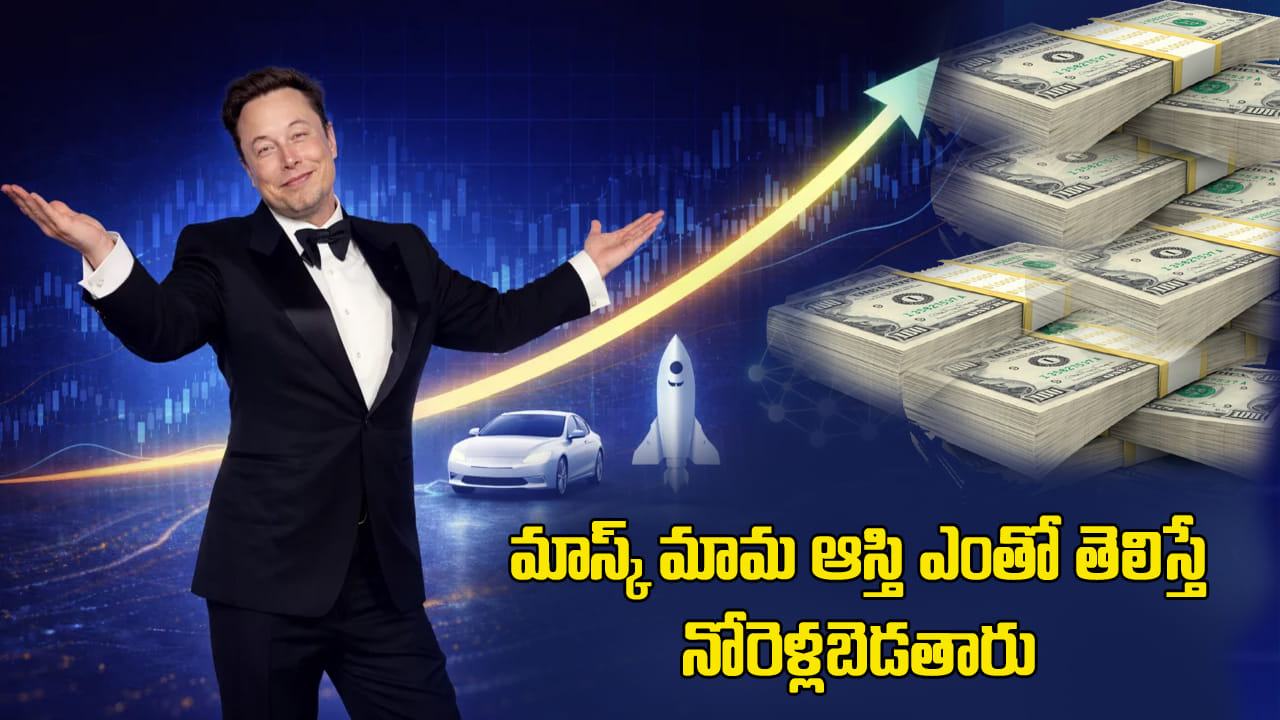 Elon Musk: ఎలాన్ మస్క్ సంపదను మనందరికీ పంచితే ఒక్కొక్కరికి ఎంత వస్తుందో తెలుసా?